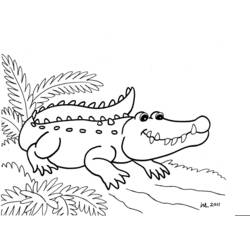 Desenho de Jacaré sorridente perto de folhas de palmeira para colorir