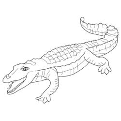 Desenho de Jacaré com a cauda enrolada e a boca aberta para colorir