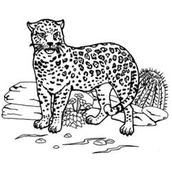 Jaguar - Desenhos para colorir gratuitos