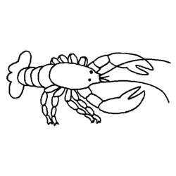 Lagosta - Desenhos para colorir gratuitos