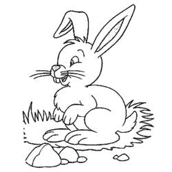 Lebre - Desenhos para colorir gratuitos