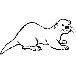 Lontra - Desenhos para colorir gratuitos