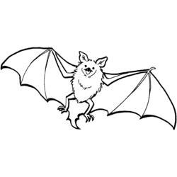 Morcego - Desenhos para colorir gratuitos