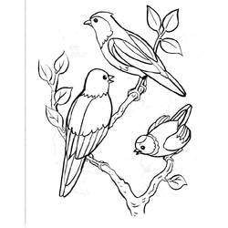 Desenho de Três pássaros pousados em galhos para colorir