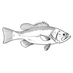 Desenho de Peixe com escamas detalhadas para colorir