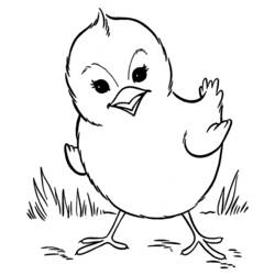 Pintinho - Desenhos para colorir gratuitos