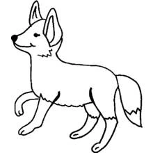 Desenho de Raposa caminhando com a cauda erguida para colorir