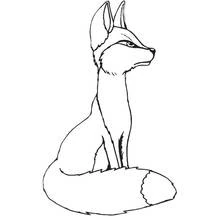 Desenho de Raposa sentada com a cauda enrolada para colorir