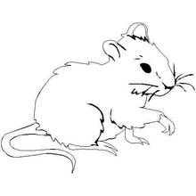 Desenho de Rato sentado com a pata levantada para colorir