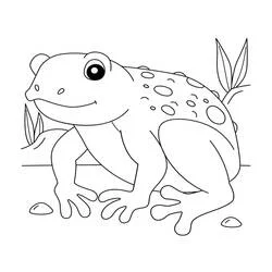 Desenho de Sapo com manchas e plantas para colorir Desenho de Sapo com manchas e plantas para colorir