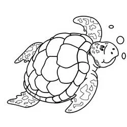 Desenho de Tartaruga nadando na água para colorir Desenho de Tartaruga nadando na água para colorir