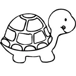 Desenho de Tartaruga com casco grande e redondo para colorir Desenho de Tartaruga com casco grande e redondo para colorir