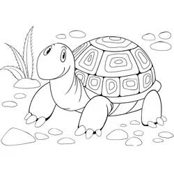 Desenho de Tartaruga caminhando entre pedras e grama para colorir Desenho de Tartaruga caminhando entre pedras e grama para colorir