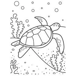 Desenho de Tartaruga nadando debaixo d'água para colorir Desenho de Tartaruga nadando debaixo d'água para colorir