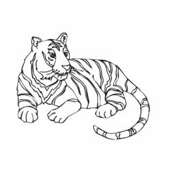 Tigre - Desenhos para colorir gratuitos