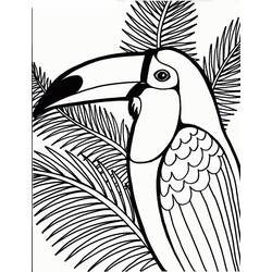 Tucano - Desenhos para colorir gratuitos