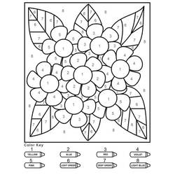Flores Colorir por Números - Desenhos para colorir gratuitos