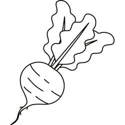 Beterraba - Desenhos para colorir gratuitos Beterraba - Desenhos para colorir gratuitos