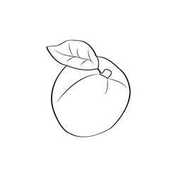 Damasco - Desenhos para colorir gratuitos Damasco - Desenhos para colorir gratuitos