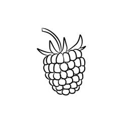 Framboesa - Desenhos para colorir gratuitos Framboesa - Desenhos para colorir gratuitos