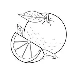 Laranja - Desenhos para colorir gratuitos Laranja - Desenhos para colorir gratuitos