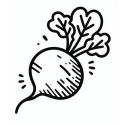 Desenho de Rabanete com folhas para colorir