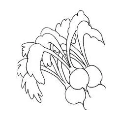 Desenho de Três rabanetes redondos com talos longos para colorir