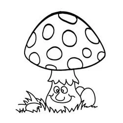 Cogumelo - Desenhos para colorir gratuitos