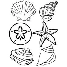 Desenho de Concha (Natureza e Estações) #163170 para colorir, imprimível grátis Desenho de Concha (Natureza e Estações) #163170 para colorir, imprimível grátis