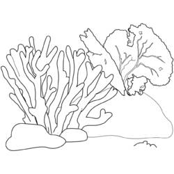 Desenho de Ramos de coral no fundo do mar para colorir
