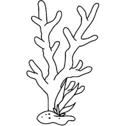 Coral - Desenhos para colorir gratuitos