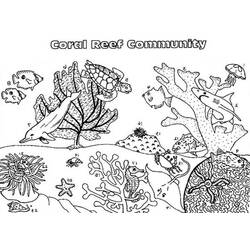 Desenho de Comunidade de coral com golfinho e tartaruga para colorir