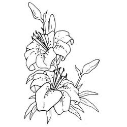 Lírio - Desenhos para colorir gratuitos