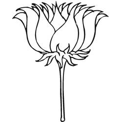Lótus - Desenhos para colorir gratuitos