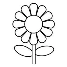 Margarida - Desenhos para colorir gratuitos