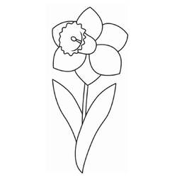 Narciso - Desenhos para colorir gratuitos