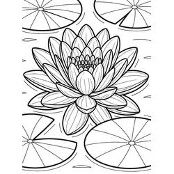 nenúfar - Desenhos para colorir gratuitos