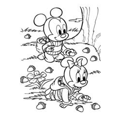 Desenho de Bebê Mickey e Minnie colhendo bolotas para colorir