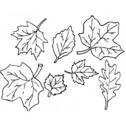 Desenho de Coleção de folhas de outono para colorir