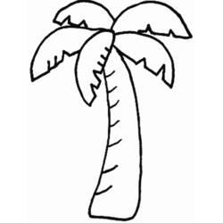 Palmeira - Desenhos para colorir gratuitos