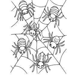 Desenho de Seis aranhas sobre uma teia de aranha para colorir