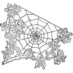 Desenho de Teia de aranha entre ramos floridos para colorir