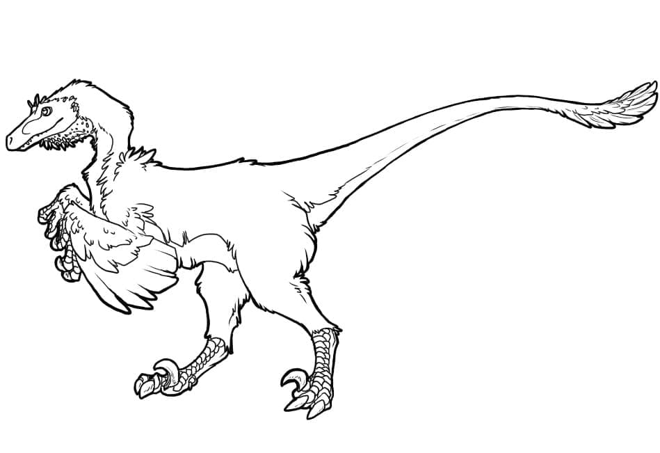 Ilustração de Velociraptor #214494 para colorir, parte da coleção Animais Pré-históricos Ilustração de Velociraptor #214494 para colorir, parte da coleção Animais Pré-históricos