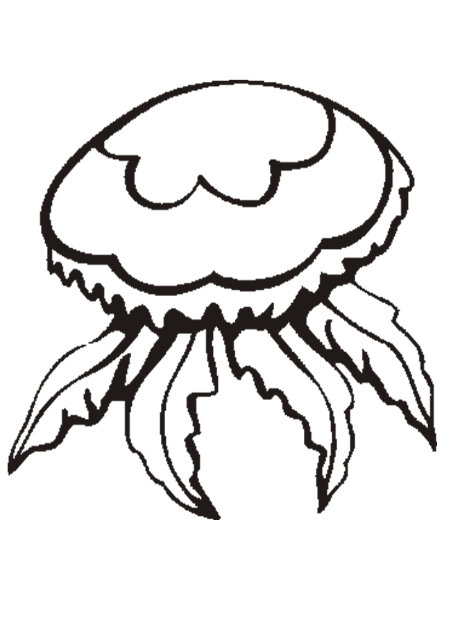 Desenho gratuito Água-viva #20402 da colecao Animais para imprimir