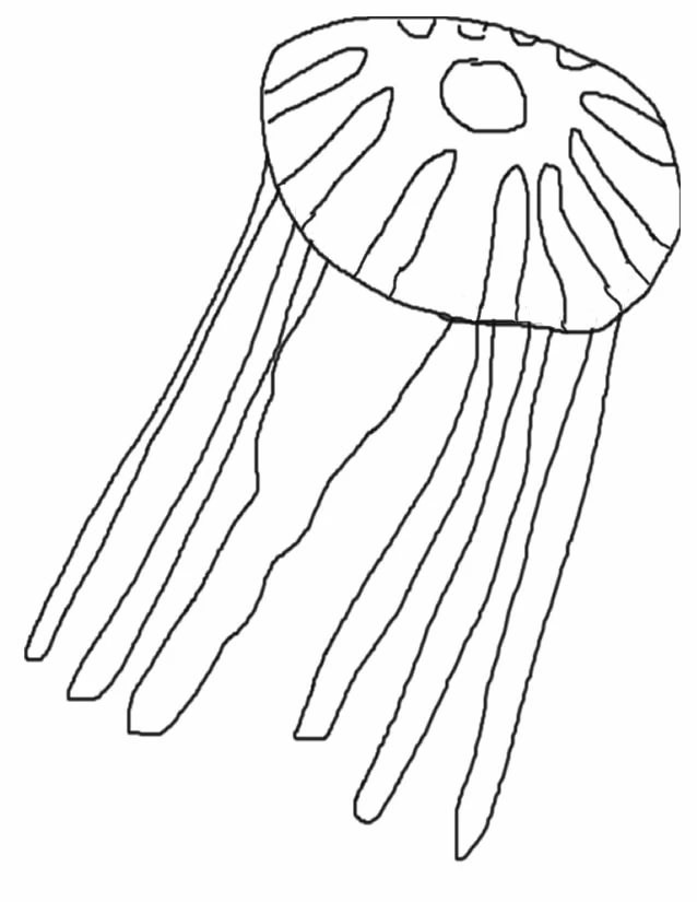 Desenho gratuito Água-viva #20409 da colecao Animais para imprimir