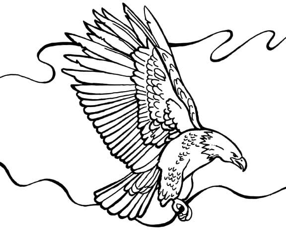 Atividade criativa: desenho de Águia #185174 para colorir da coleção Animais Atividade criativa: desenho de Águia #185174 para colorir da coleção Animais
