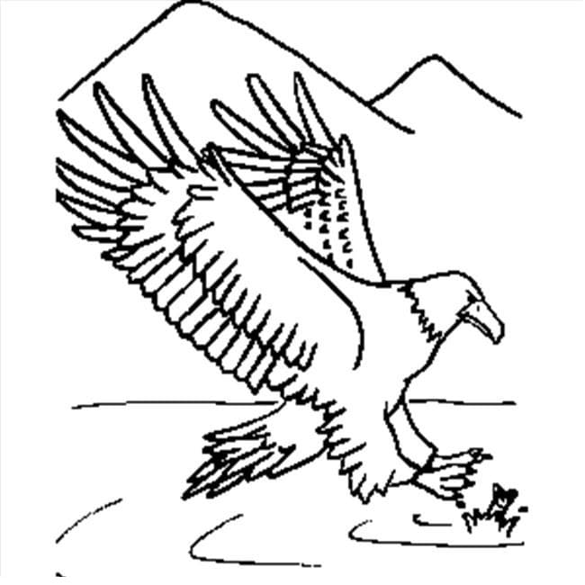 Desenho gratuito Águia #185186 da colecao Animais para imprimir
