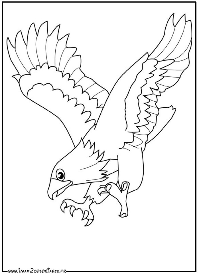 Página para colorir: Águia (animais) #290 - Páginas para Colorir Imprimíveis Gratuitamente