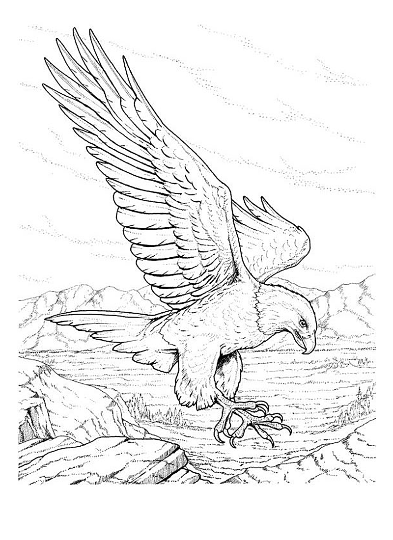 Página para colorir: Águia (animais) #296 - Páginas para Colorir Imprimíveis Gratuitamente