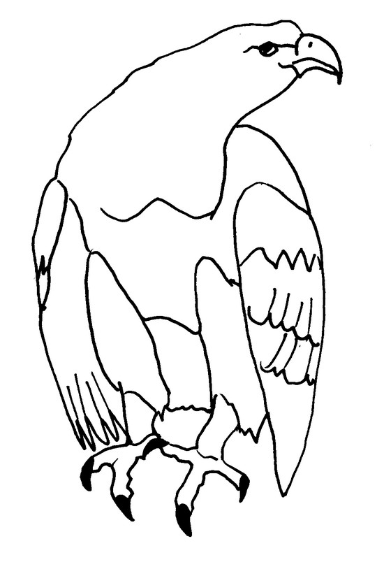 Página para colorir: Águia (animais) #316 - Páginas para Colorir Imprimíveis Gratuitamente
